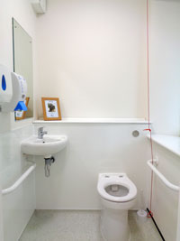 disabled toilet